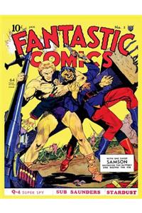 Fantastic Comics 02