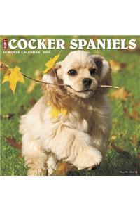Just Cocker Spaniels 2019 Calendar