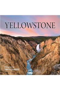 Yellowstone