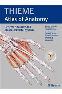 General Anatomy and Musculoskeletal System