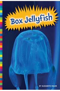 Box Jellyfish