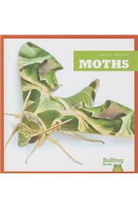 Moths