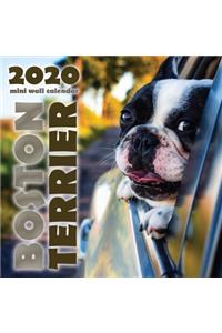 Boston Terrier 2020 Mini Wall Calendar