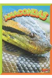 Anacondas