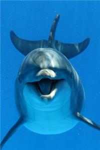 Save The Dolphin 2020 Weekly Monthly Planner