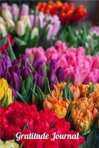 Gratitude Journal
