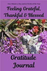 Feeling Grateful, Thankful & Blessed Gratitude Journal
