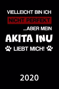 Akita Inu 2020