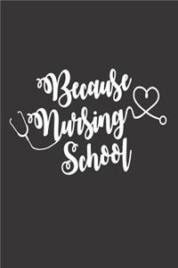 Because Nursing School