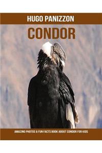 Condor: Amazing Photos & Fun Facts Book about Condor for Kids