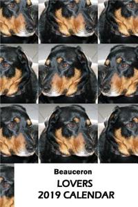 Beauceron Lovers 2019 Calendar