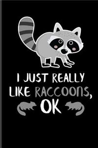 I Just Really Like Raccoons, Ok