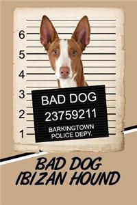 Bad Dog Ibizan Hound