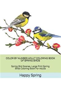 Color by Number Adult Coloring Book of Spring Birds