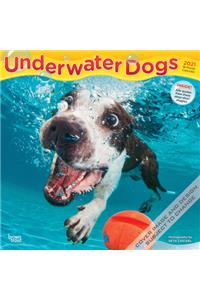 Underwater Dogs 2021 Square