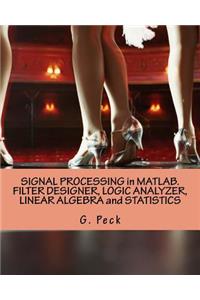 Signal Processing in Matlab. Filter Designer, Logic Analyzer, Linear Algebra and Statistics