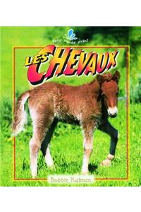 Les Chevaux