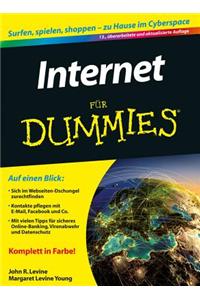 Internet fur Dummies