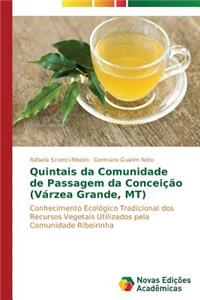Quintais da Comunidade de Passagem da Conceição (Várzea Grande, MT)