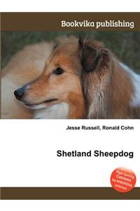 Shetland Sheepdog