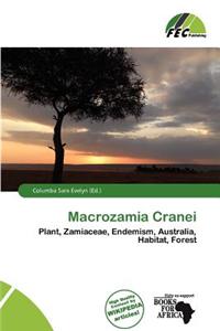 Macrozamia Cranei