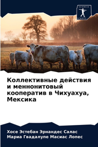Коллективные действия и меннонитовый коо