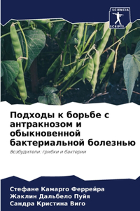 Подходы к борьбе с антракнозом и обыкнов
