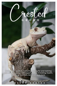 Crested Gecko