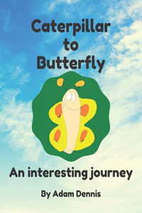 Caterpillar to Butterfly: An Interesting Journey