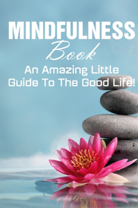 Mindfulness Book An Amazing Little Guide To The Good Life!