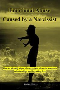 Emotional Abuse Caused By a Narcissist