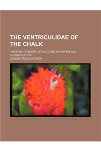 The Ventriculidae of the Chalk; Their Microscopic Structure, Affinities and Classification