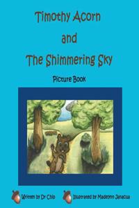 Timothy Acorn & the Shimmering Sky
