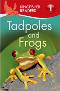 Tadpoles and Frogs