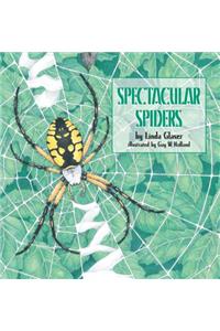 Spectacular Spiders