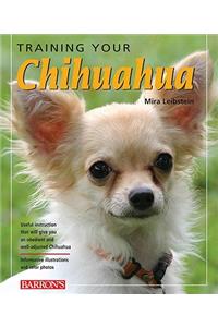Training Your Chihuahua