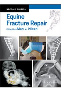 Equine Fracture Repair