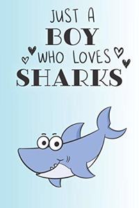 Just A Boy Who Loves Sharks