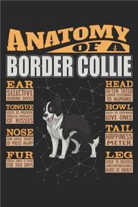 Anatomy Of A Border Collie