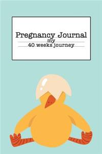 Pregnancy Journal