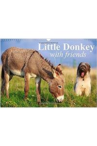 Little Donkey with Friends 2017