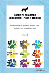 Bostie 20 Milestone Challenges