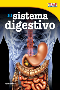 El Sistema Digestivo