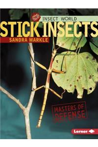 Stick Insects