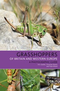 Grasshoppers of Britain and Western Europe