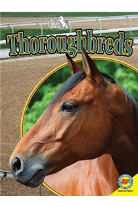 Thoroughbreds