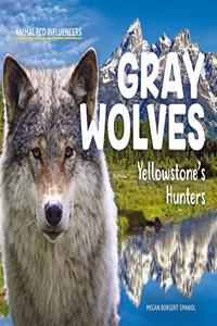 Gray Wolves: Yellowstone's Hunters