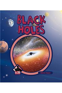 Black Holes