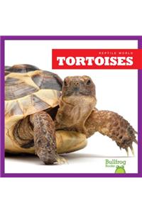 Tortoises