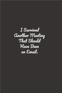 I Survived Another Meeting That Should Have Been An Email.